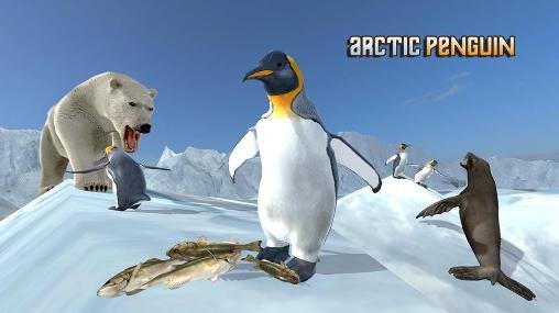 game pic for Arctic penguin